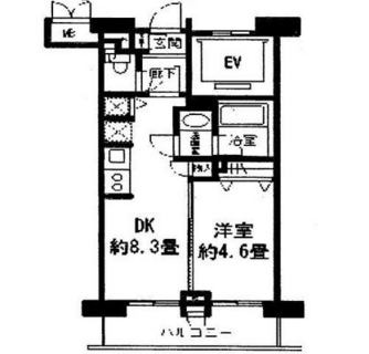 東京都豊島区南大塚２丁目 賃貸マンション 1DK